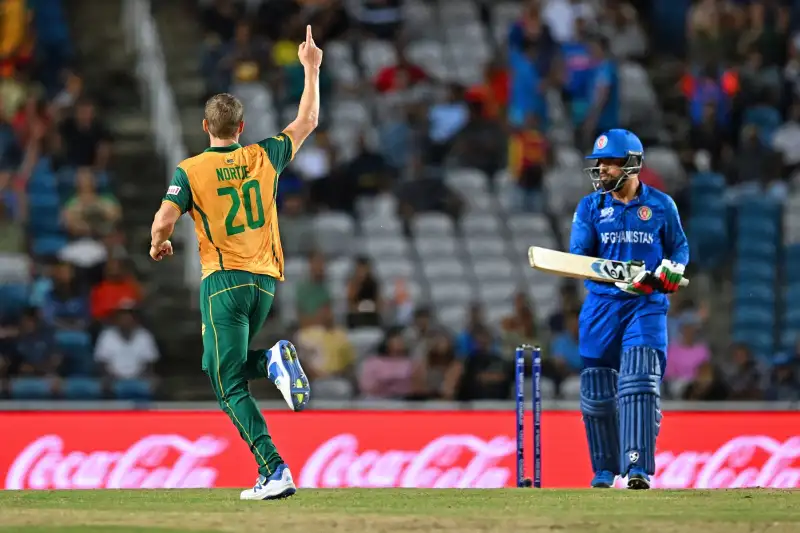 SA VS AFG 3rd Match LIVE: Where to Watch, Match Preview, & Live Streaming